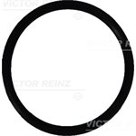 O-Ring [O-Seal / Fuel Injector Sleeve]