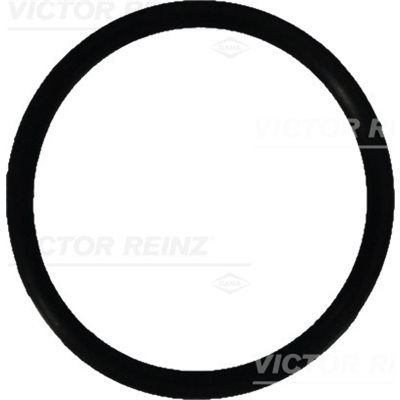 O-Ring [O-Seal / Fuel Injector Sleeve]