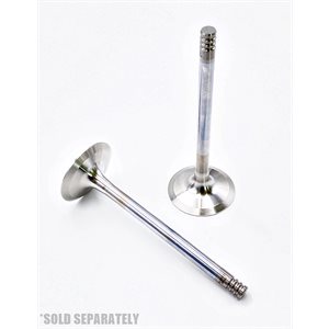 Intake Valve [30°] TCD / TD 3.6 L4