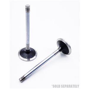 Intake Valve [30°] BF 1013 / C / CP / E / EC / ECP / FC / M / MC