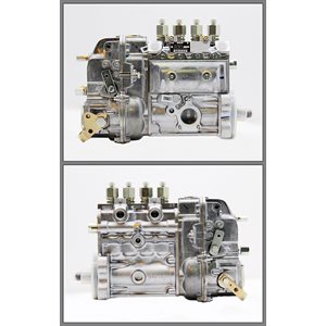 Injection Pump - BF 4L 913