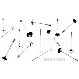 Exhaust Valve [45°] BF 2013 / C