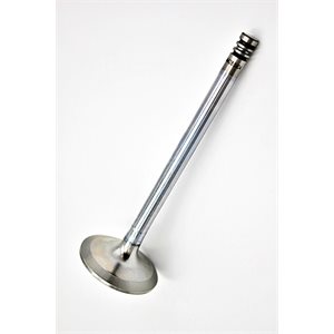 Intake Valve [30°] BF / TCD / TD 1011F / 2011 / W [STD]
