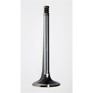 Intake Valve [30°] BF / TCD 2012 / C