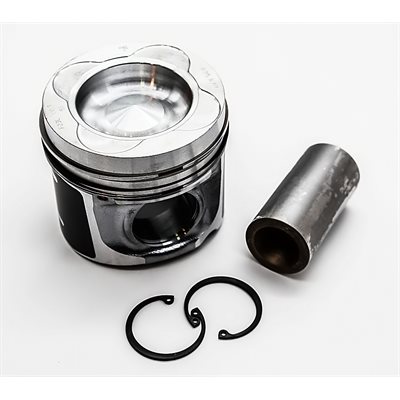Piston [STD] TCD / TD 4.1 & 6.1 [101.0 mm][3-Ring]