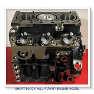 Short Block - F 3L / M 2011